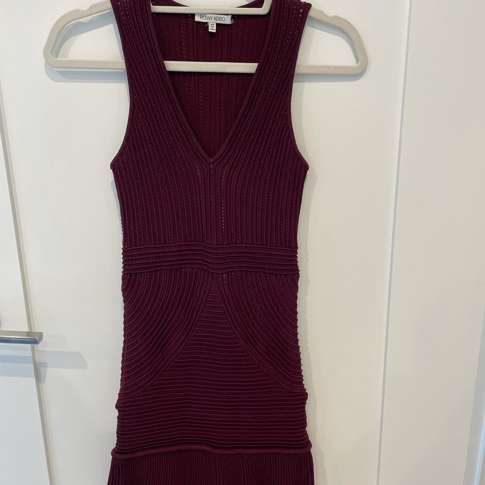 Ronny Kobo Dress